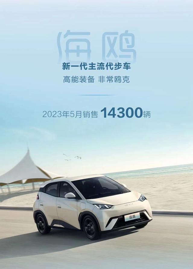 上市首月卖出14300辆，海鸥迎来开门红，为何比亚迪咋卖咋好卖？