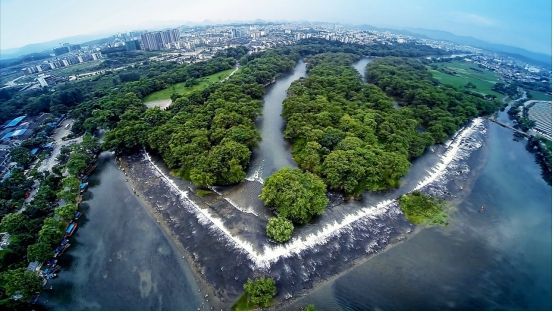 秦始皇战争视频_秦始皇哲学和平战争思维导图_秦始皇的战争与和平哲学