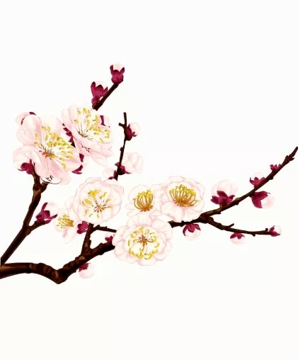 李斯的生活细节与个人爱好_李斯有什么癖好_李斯是怎样的性格