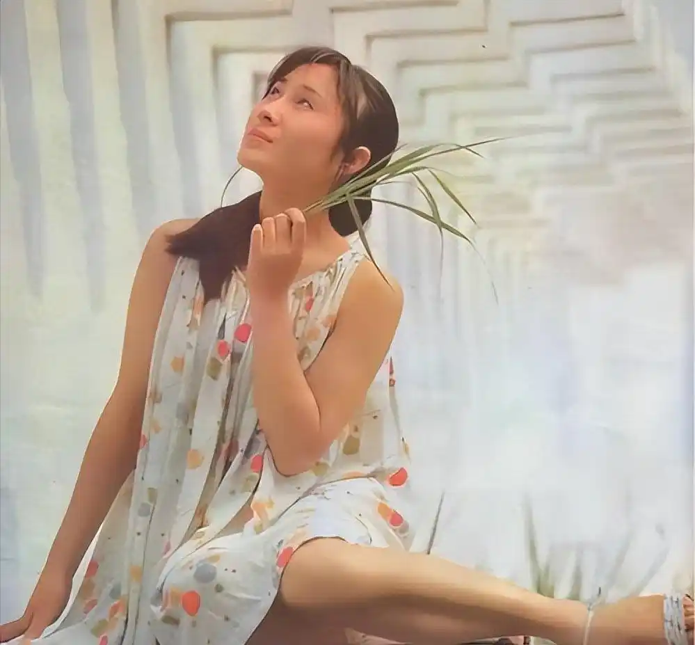 武术奇才李连杰_李连杰:从武术天才到国际影星_武术巨星李连杰