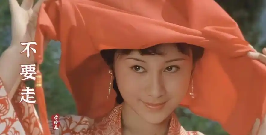 武术奇才李连杰_李连杰:从武术天才到国际影星_武术巨星李连杰