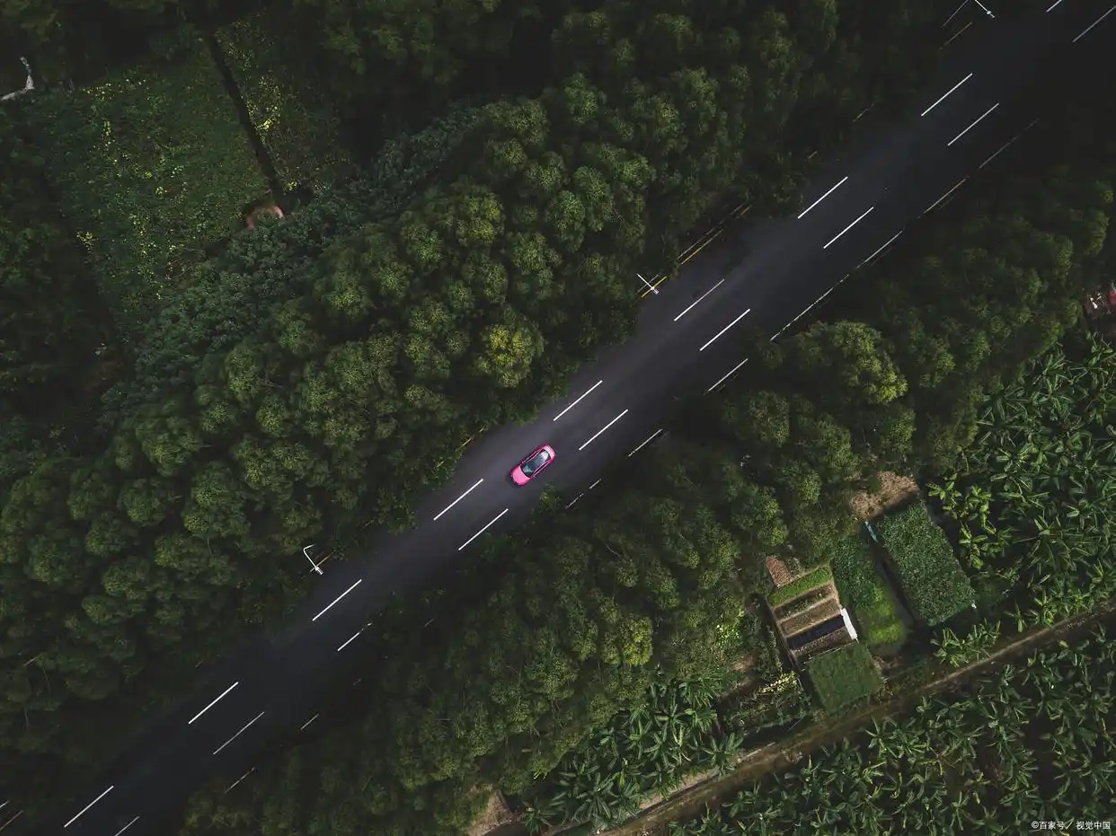 汲取教训_汲取教训吸取教训_从失败中汲取的教训