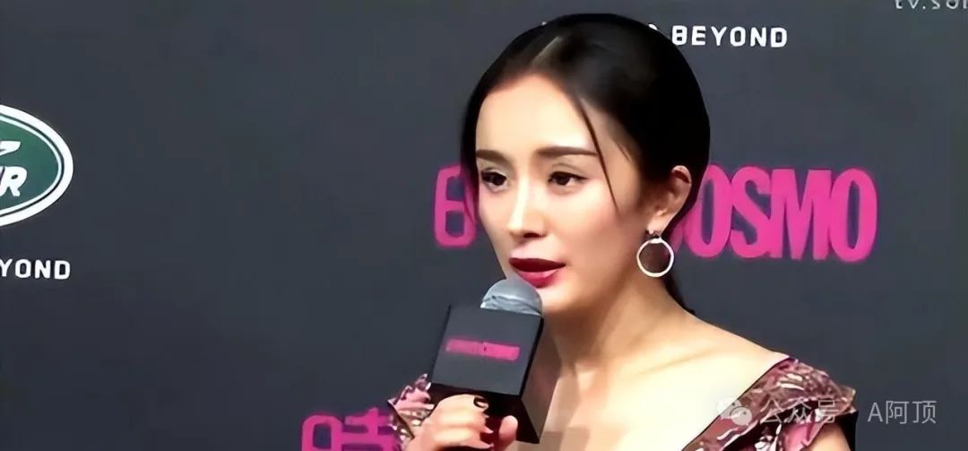 杨幂的演艺生涯与经典作品_杨幂的演艺生涯_杨幂的演艺之路