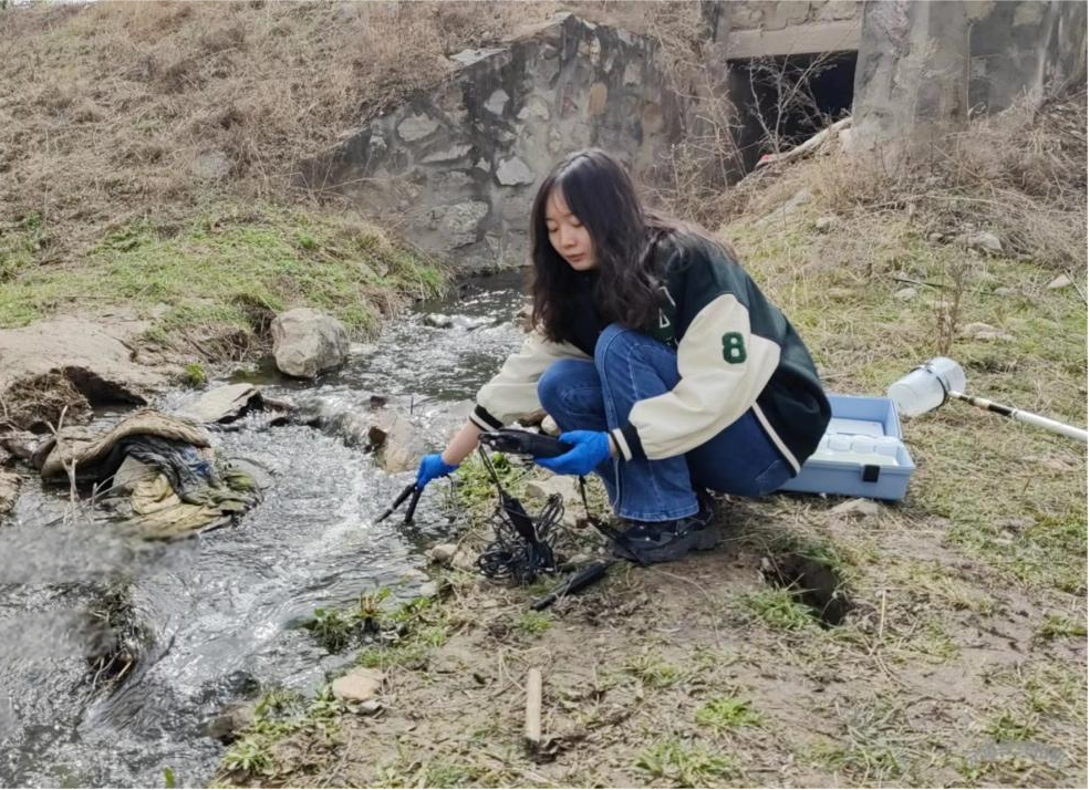 艺术中的平衡_家庭与事业：平衡人生的艺术_平衡艺术品