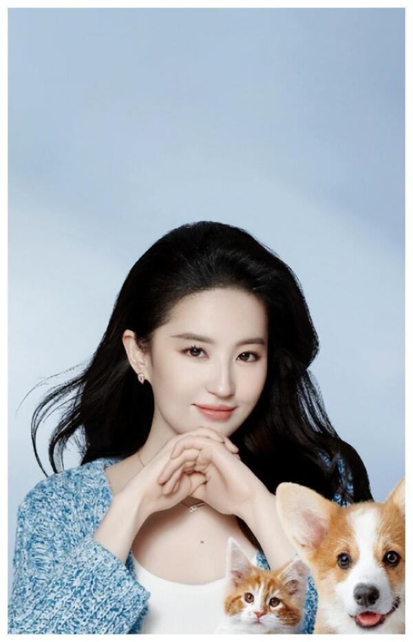 使命召唤9生涯挑战_刘亦菲的职业生涯：高峰与挑战_我的职业老千生涯1