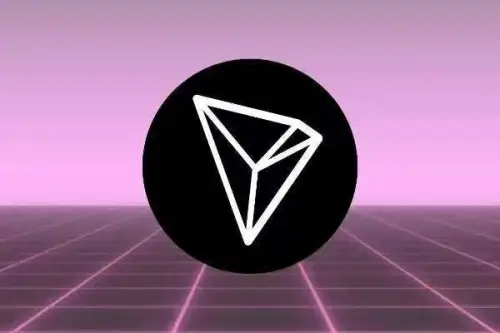 usdt稳定币原理_euz稳定数字货币_USDT：国际市场中的稳定数字货币