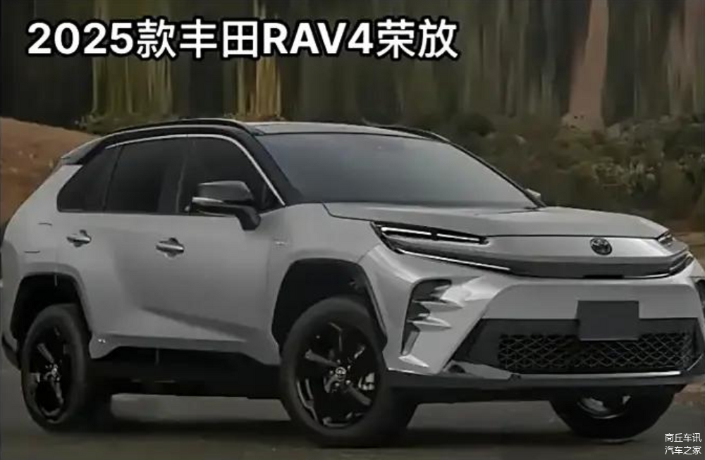 能源战略政策_能源战略概念_面对市场的不确定性，新能源汽车应如何调整战略？