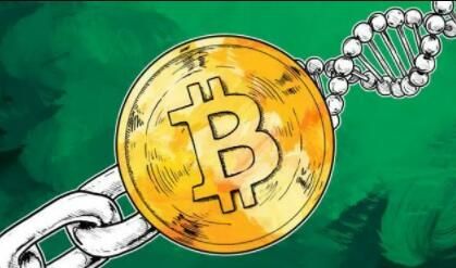 钱包钱包_钱包αpp_使用冷钱包APP的好处 | 官方版带来的安全与便捷