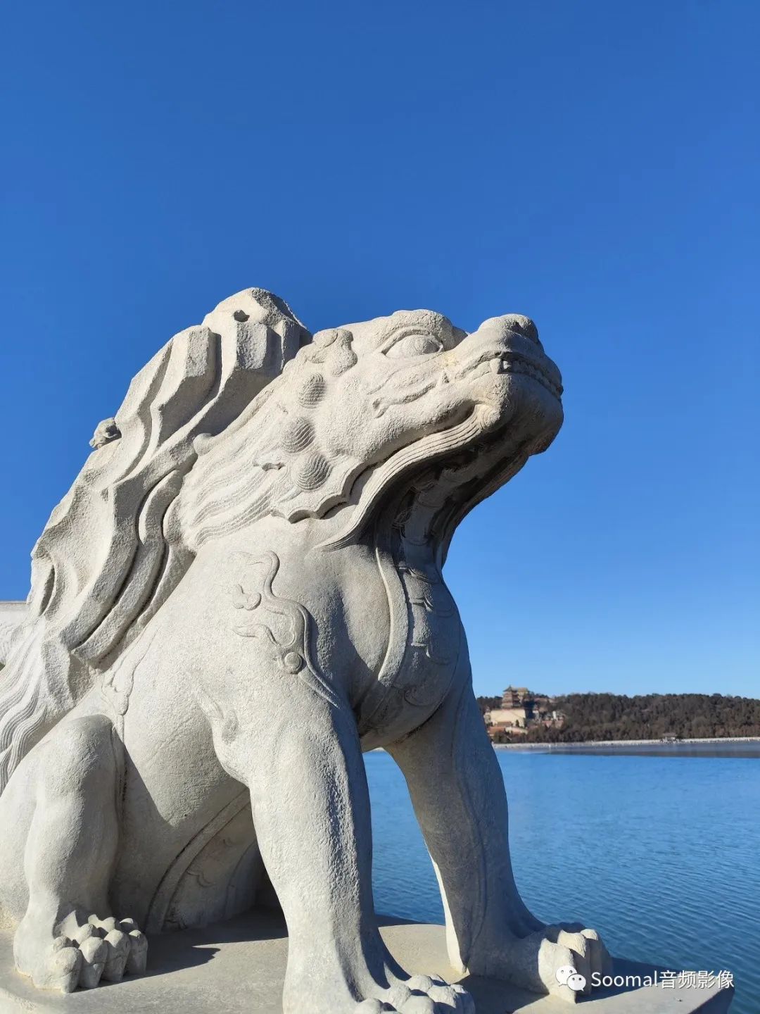 如何通过小米手机获得最佳拍照体验？_小米拍照功能最好的手机_小米手机拍照测评