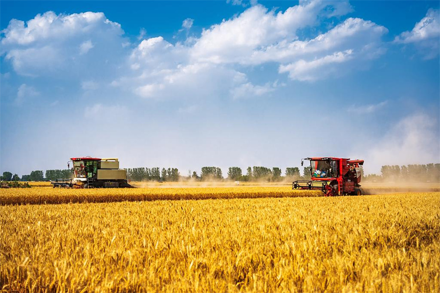 2020年云南经济增长_2024年云南省经济数据：31534亿GDP意味着怎样的新增长？_云南经济增速