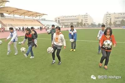 张国华的职业生涯与成就分析_职业生涯中的关键成就因素包括_个人职业生涯成功的标准有哪些