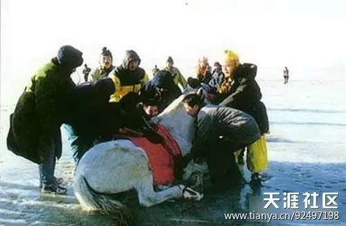 回顾表演经典金巧巧歌词_历年春晚经典歌曲回顾_金巧巧的经典表演回顾