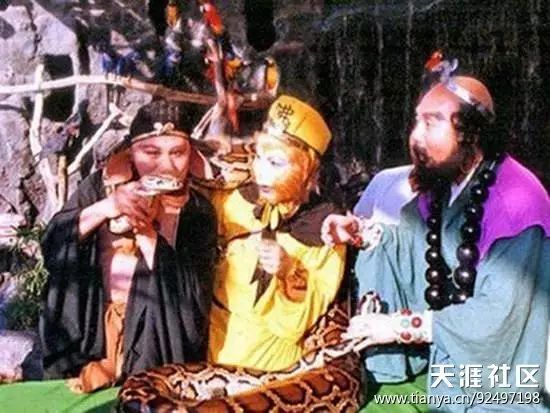 历年春晚经典歌曲回顾_回顾表演经典金巧巧歌词_金巧巧的经典表演回顾