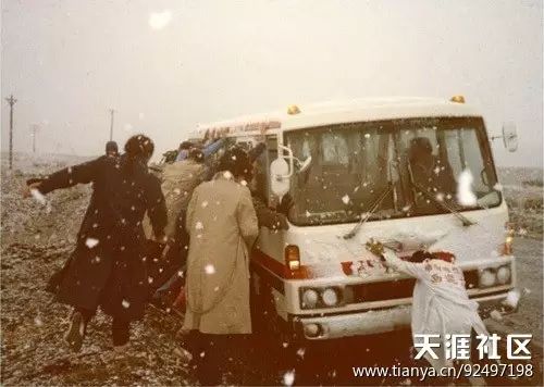 历年春晚经典歌曲回顾_回顾表演经典金巧巧歌词_金巧巧的经典表演回顾