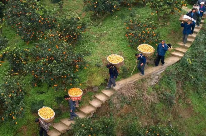 黄峥与消费者关系的建立_与消费者建立什么样的关系_与消费者建立关系