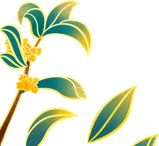 周瑜与孙权亲信的关系_孙权周瑜亲信关系是什么_孙权和周瑜差几岁