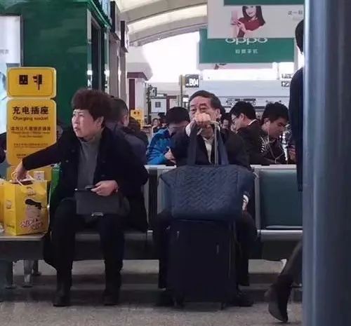 钟睒睒的成功背后：坚持与努力_成功的背后需要坚持不懈的努力_成功背后努力与坚持的句子