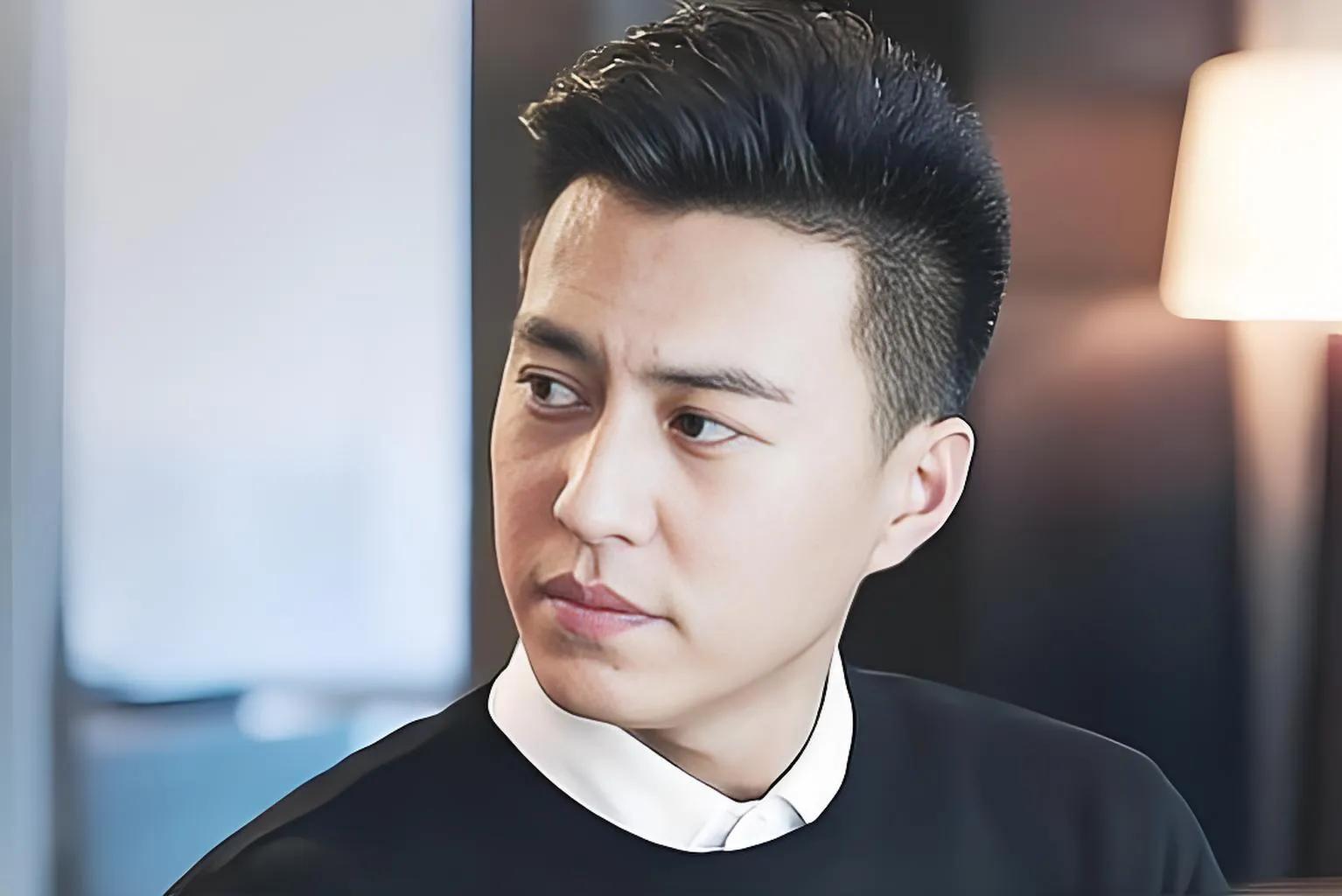 甄子丹北影_甄子丹的影视创作与文化传播_影视声音创作艺术