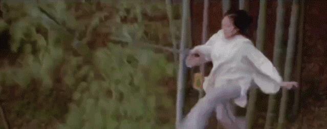 武术影张晋_影视武打技巧展示张晋中的特点_张晋在影视中的武打技巧展示