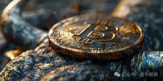 比特币的隐蔽性_比特币局限性_比特币的潜在风险与市场调节：未来投资需关注的关键因素