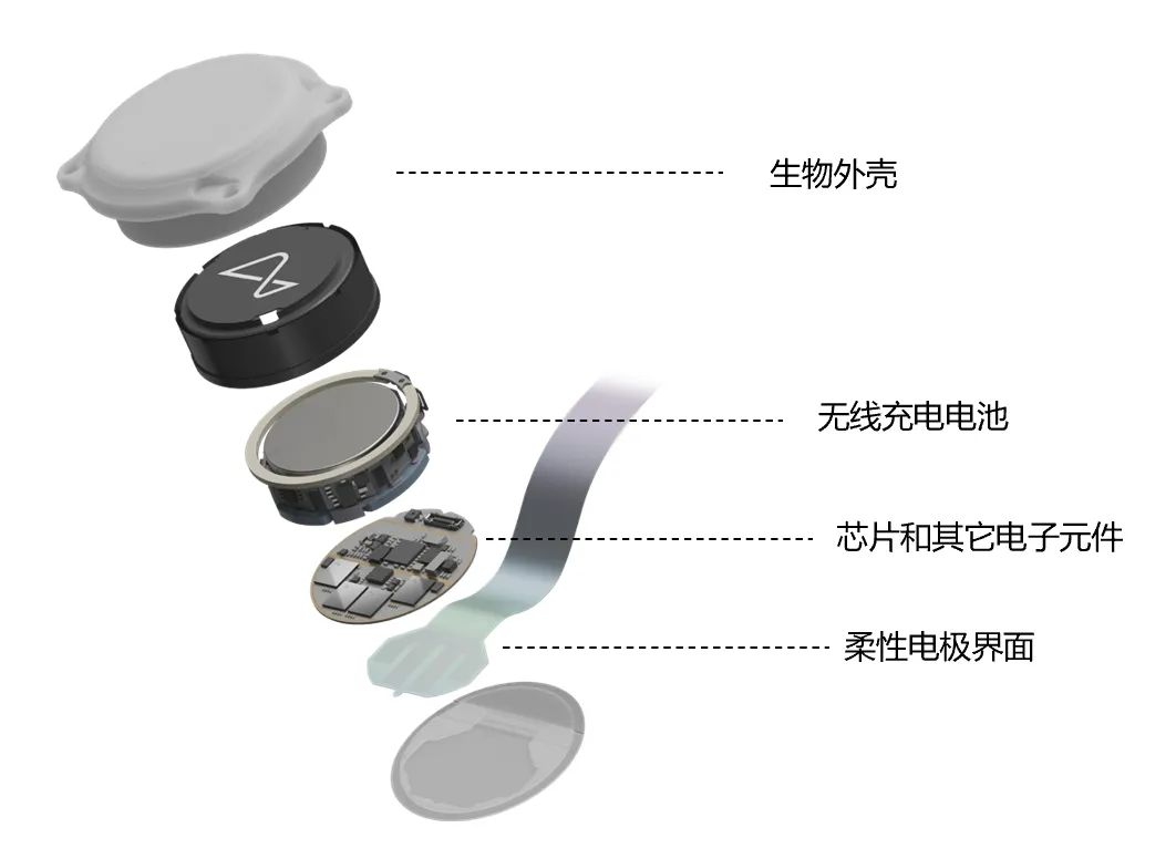 马斯克发明植入脑机接口_医疗科技新篇：马斯克确认2025年Neuralink的脑机设备植入计划_马斯克人脑移植