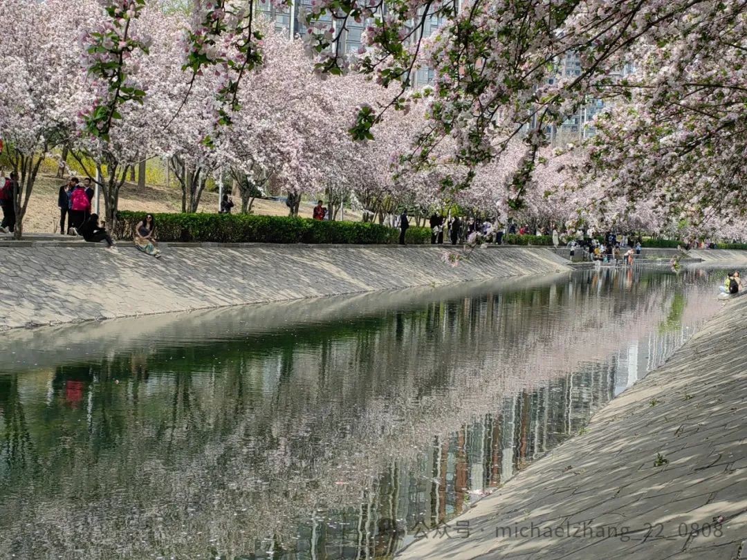 理解数字货币在跨国公司融资中的作用：如何简化资金流动与合规流程_国内货币流动性_货币跨境自由流动