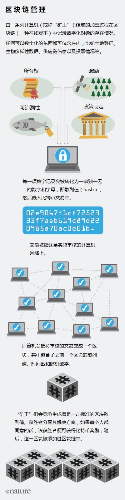 以太坊代理_支持以太坊付费的商家_以太坊作为新一代支付系统的潜力:从技术到市场