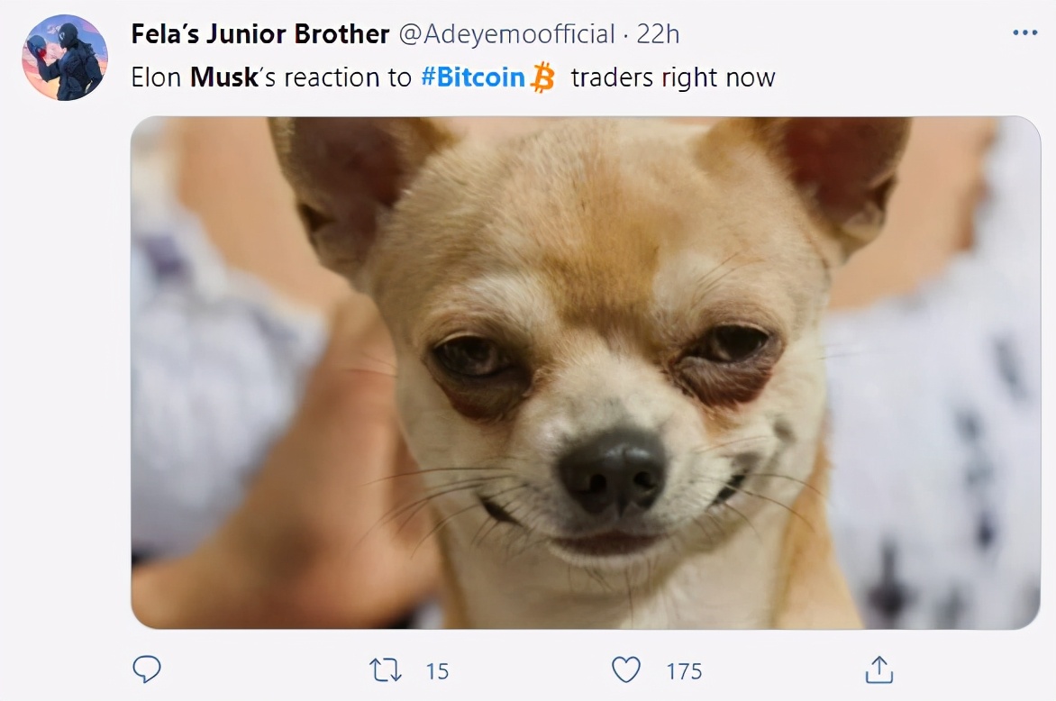 比特币购买应该怎么操作_你应该购买比特币吗？_比特币购买应该注意什么