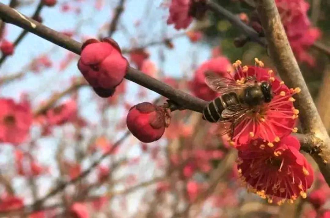 小米汽车制造_小米汽车的质量控制背后的故事_小米造车被央视批评