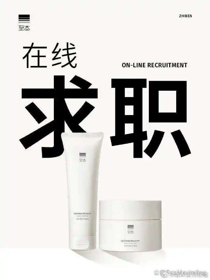 雷军案例给我的启示_雷军与品牌建设的成功案例_雷军案例总结