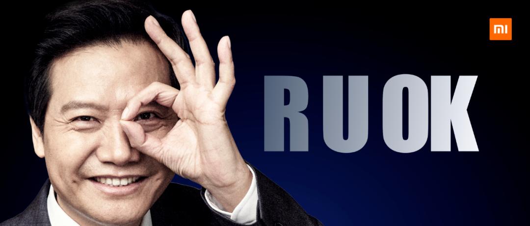 雷军成功案例分析_雷军案例给我的启示_雷军与品牌建设的成功案例