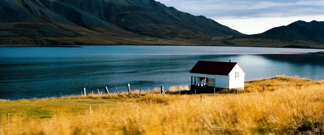 回味无穷百科_让人回味无穷的十部新片:2023年电影推荐_回味无穷什么项目